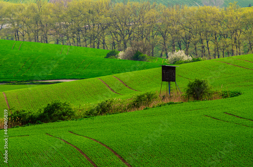 Rural spring landscape