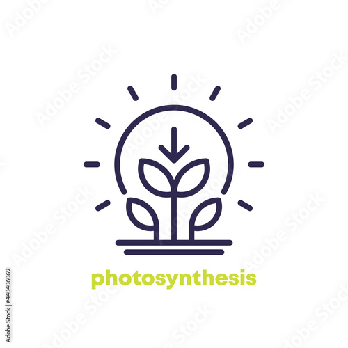 photosynthesis line icon with plant and sun