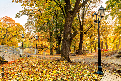 Golden colors of autumn in a public domain park, Europa, Latvia, Riga