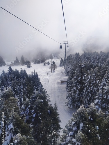 ride the cable car with a fairly foggy and cold atmosphere through the forest