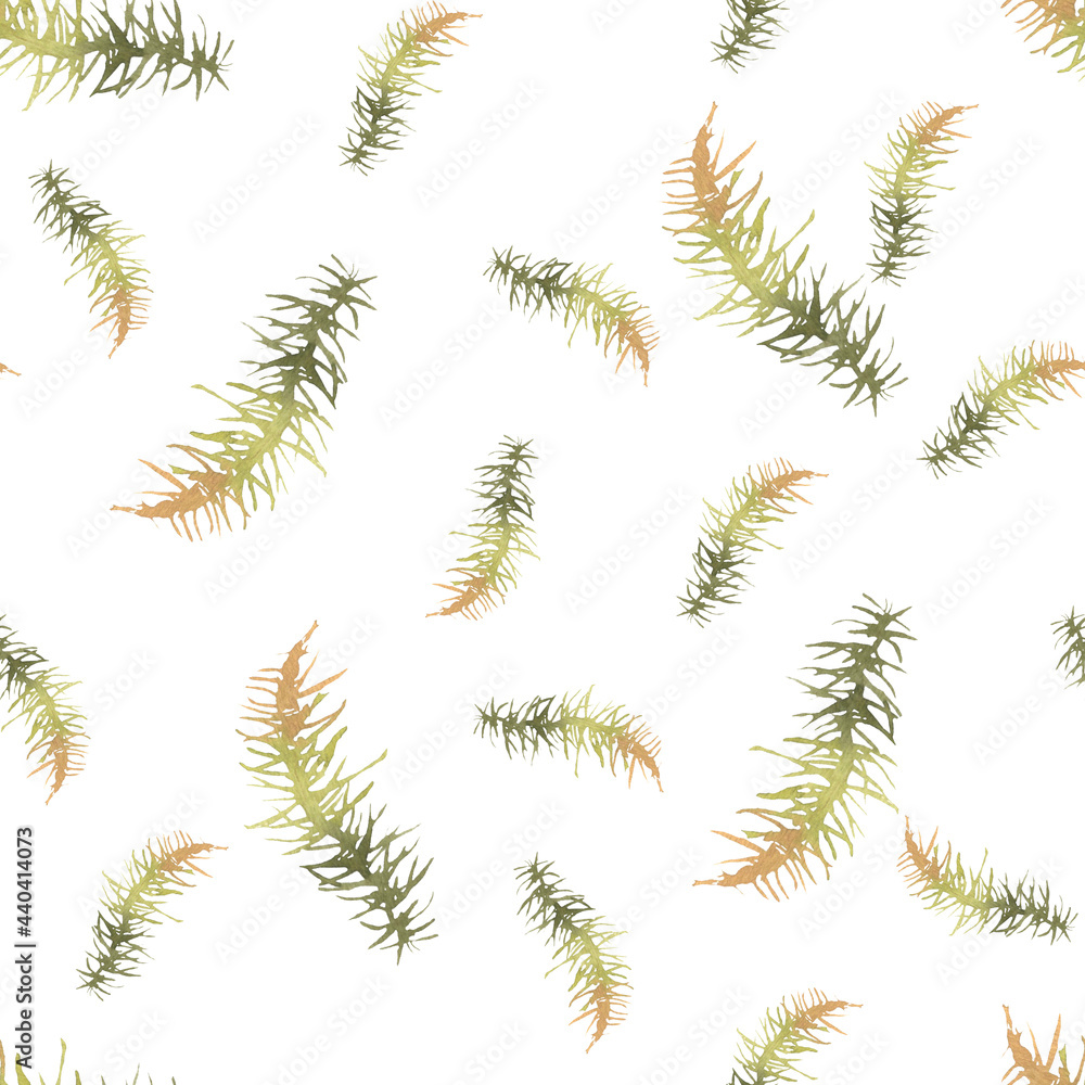 Seamless watercolor pattern branches of spruce. Background with forest moss. Moss, wild grass. Design for wrapping, packing, textile, fabric, scrapbooking, home decoration, invitation, cards