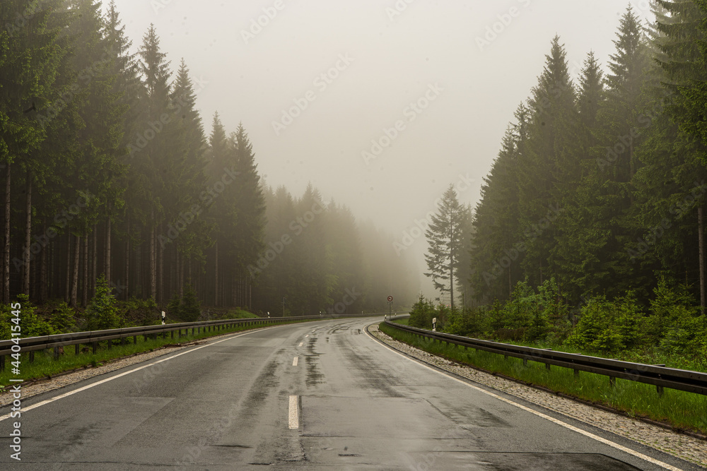 Fototapeta premium road in the fog