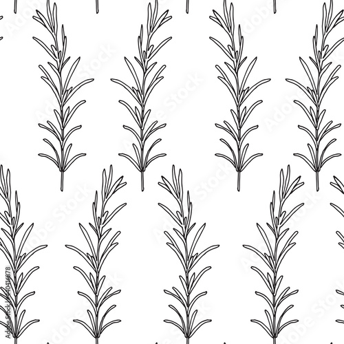 Fototapeta Naklejka Na Ścianę i Meble -  Seamless pattern. Vector illustration with rosemary branch.