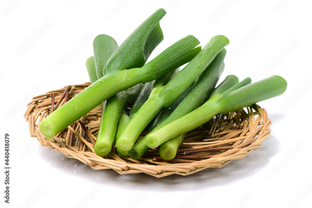 Green Onions on White Background Green Onions on White Background