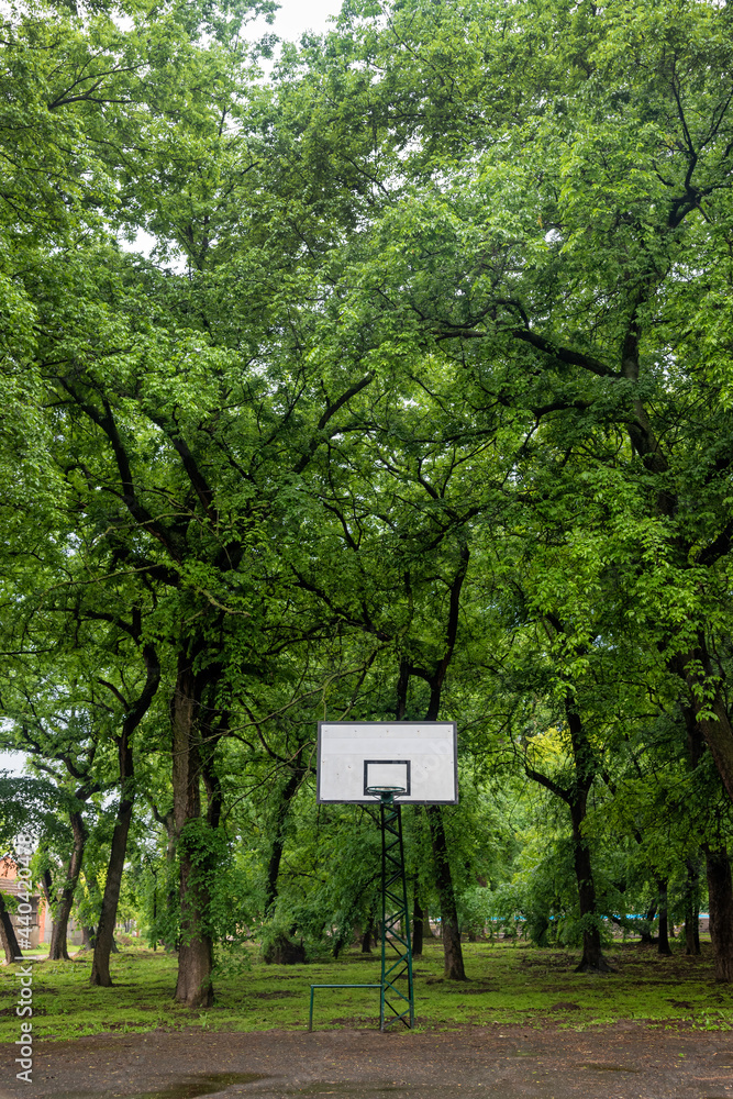Basketball Court. Basketball hoop near the tree. Empty street basketball court. Basketball Court. Basketball hoop near the tree. Empty street basketball court.