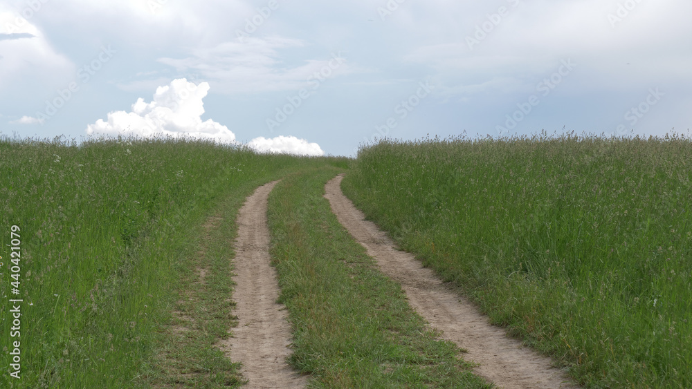 landscape with a field and clouds