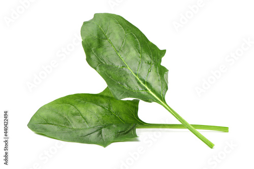 Spinach on white background