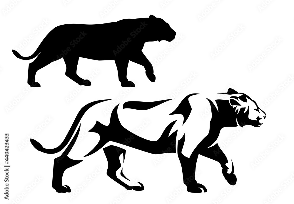 Fototapeta premium beautiful african lioness walking forward side view portrait - black and white vector animal outline and silhouette design