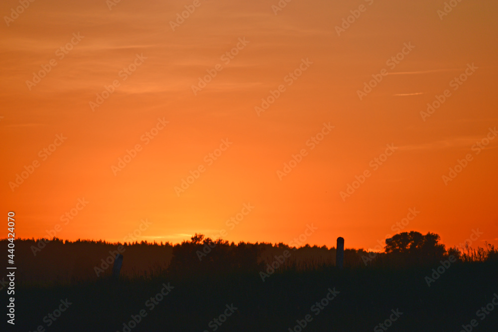 Rural field on the background of the setting sun