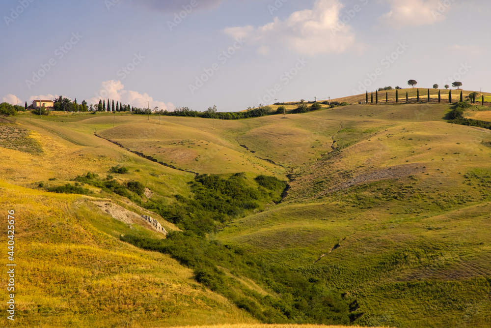 Obraz premium Beautiful idyllic summer landscape of Toscana, Italy with many mediterranean plants and field grasses. Sunny evening or morning in Italy. Vacation, recreation mood. Agricultural fields of Tuscany 