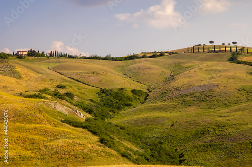 Beautiful idyllic summer landscape of Toscana, Italy with many mediterranean plants and field grasses. Sunny evening or morning in Italy. Vacation, recreation mood. Agricultural fields of Tuscany 
