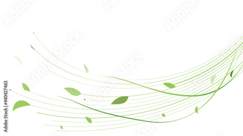 Abstract green lines floral vector background. Vector illustration