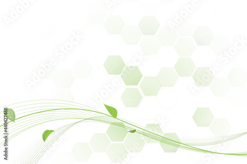 Abstract green lines floral with geometric hexagon technology vector background. Vector illustration