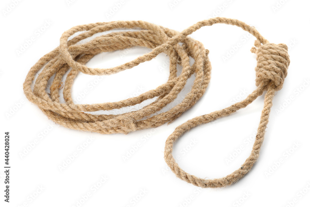 Rope noose with knot on white background Rope noose with knot on white background