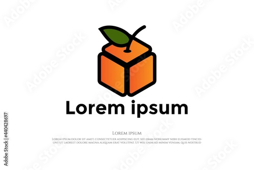 Simple Minimalist Fruit Orange Box Block Cube Logo Design Vector