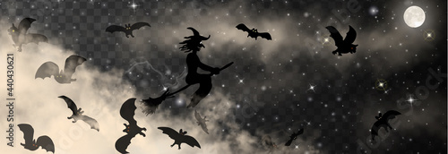 Halloween vector illustration. The witch sitting on the broom flyes through clouds on the transparent background with Moon and stars. Old hag surrounded by bats isolated on the dark backdrop.  photo