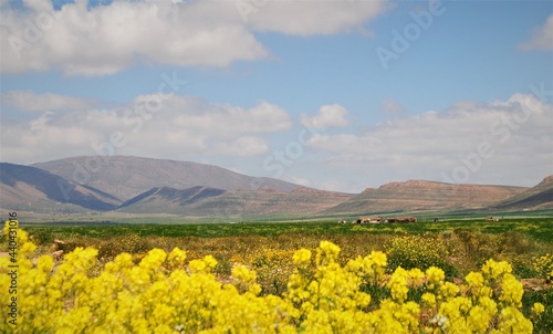 Espaces  hauts plateaux  algerie