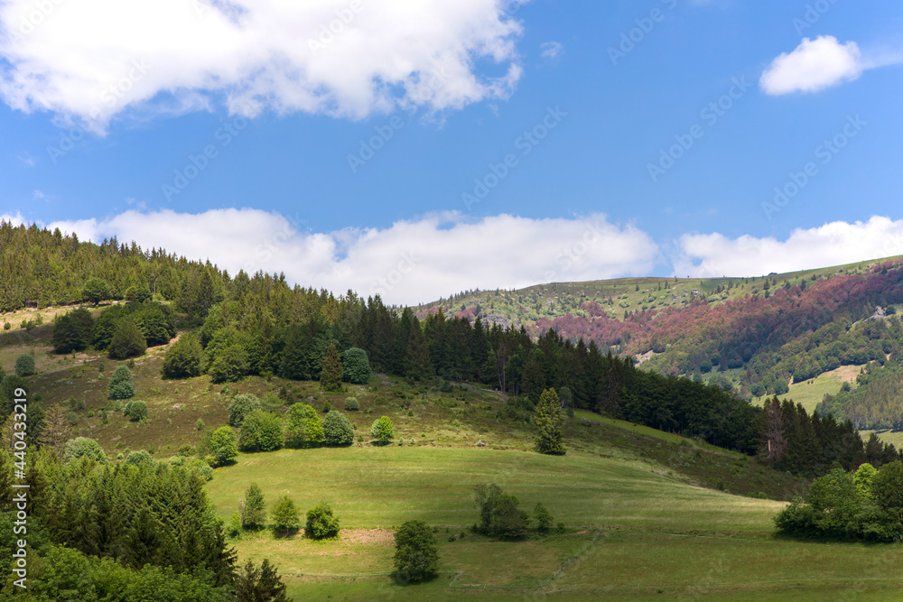 Summer mountains, scenic landscape, view on green meadow and trees. Shadows and light and blue clouds sky. Black Forest Mountains, springtime. Schwarzwald panorama, rolling landscape. Germany
