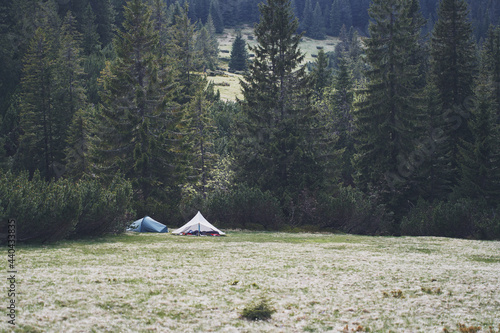 Tents in a clearing in front of the forest. Ukrian Carpathian Mountains.