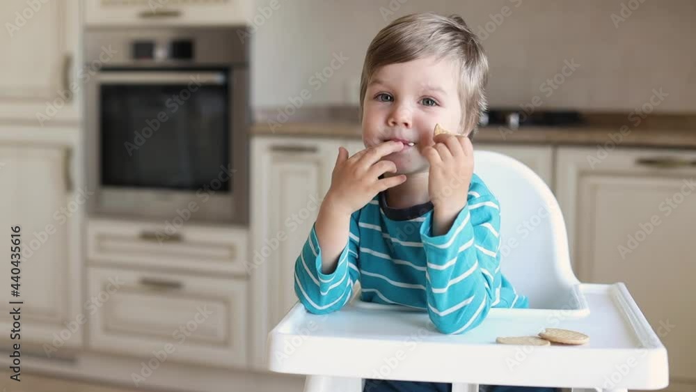 Little hungry boy sitting in white baby chair in kitсhen room and eating sweet cookie Little hungry boy sitting in white baby chair in kitсhen room and eating sweet cookie