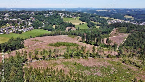 Fichtensterben bzw. Baumsterben durch Borkenkäfer (Siegerland/NRW)