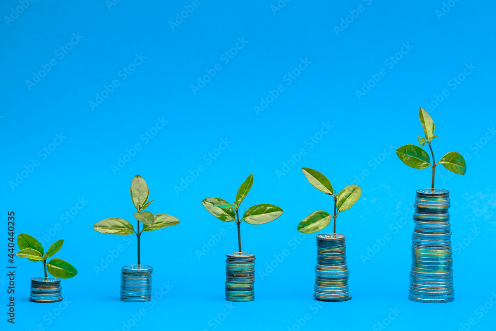 Plant on coins. Saving money. Growing money in stack. Financial growth, home budget, saving, business, currency, banking and economic strategy concept. Plant on coins. Saving money. Growing money in stack. Financial growth, home budget, saving, business, currency, banking and economic strategy concept.