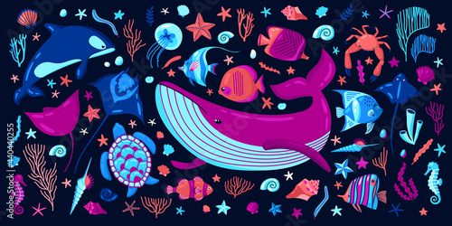 Ocean Illustration