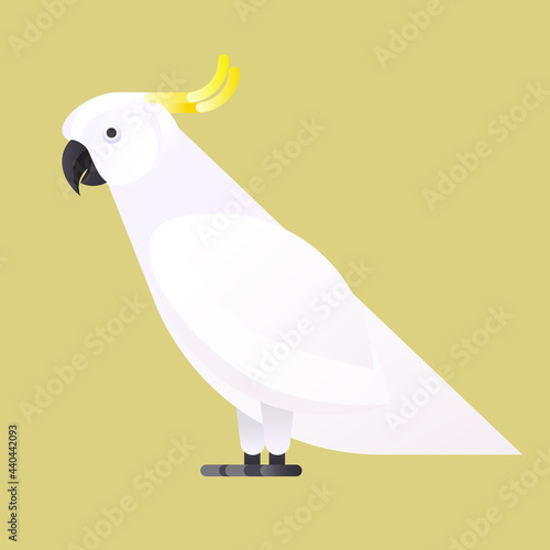 The Sulphur-crested cockatoo isolated on green background. Vector illustration of tropical birds