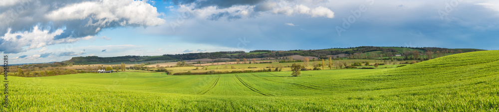 Green field panorama in spring season. Landscape of England 