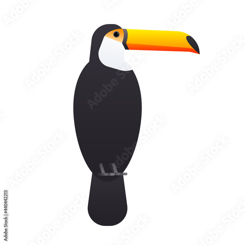The toucan bird isolated on white background. Vector illustration of rainforest animals