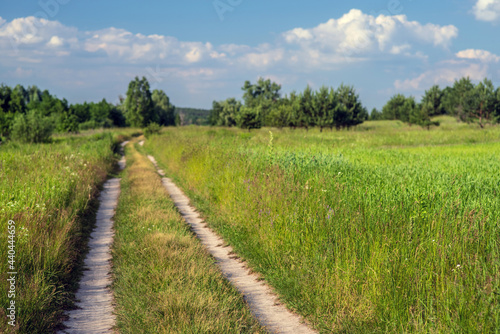 Country road in a meadow with trees in the distance. Summer landscape. Selective focus.