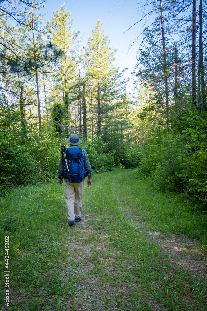 Fototapeta premium Man with backpack walking in the countryside. Podere Montebello, Modigliana, Forlì, Emilia Romagna, Italy, Europe.