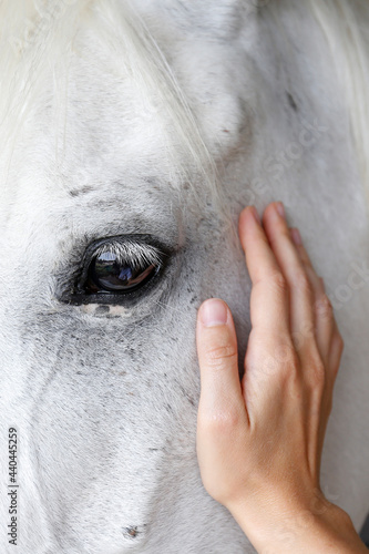 Obraz na plátně Bond between human and animal concept