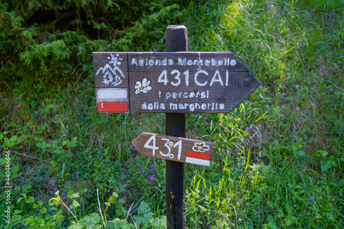 Podere Montebello, Modigliana, Forlì, Emilia Romagna, Italy, Europe. photo