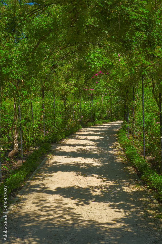 Garden landscapes in the countryside