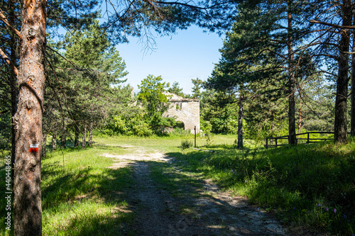 Ruins in the wood. Podere Montebello, Modigliana, Forlì, Emilia Romagna, Italy, Europe. © Salvatore Leanza