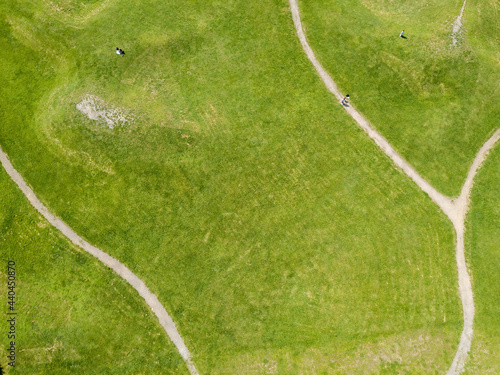 Path among the green grass. Aerial drone view.