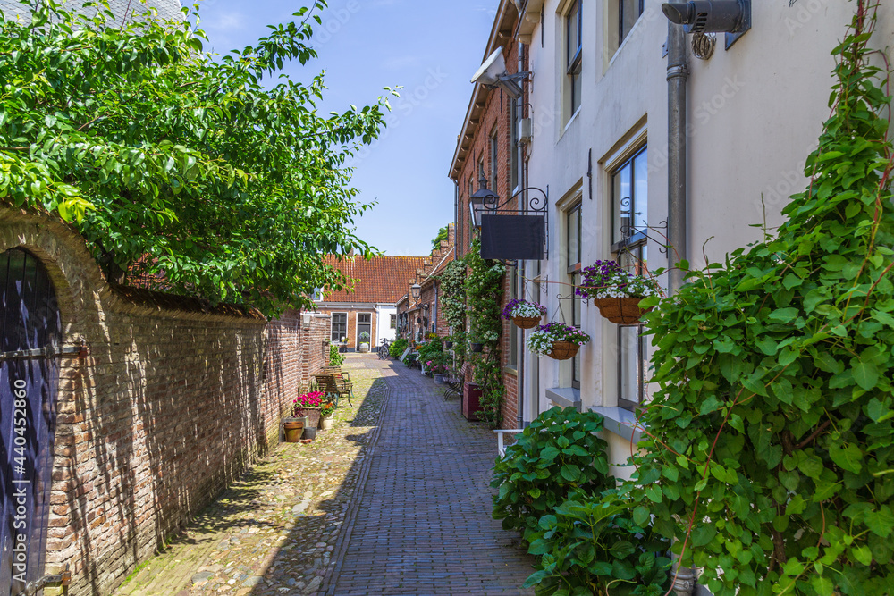 A narrow alley with old picturesque Dutch small houses with beautiful blooming flowers the town of Buren, Gelderland, Netherlands.