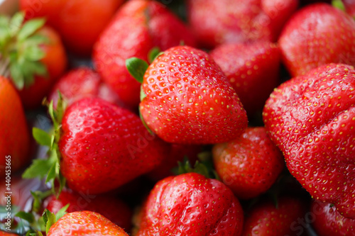 Misa czerwonych truskawek z ekologicznego pola.