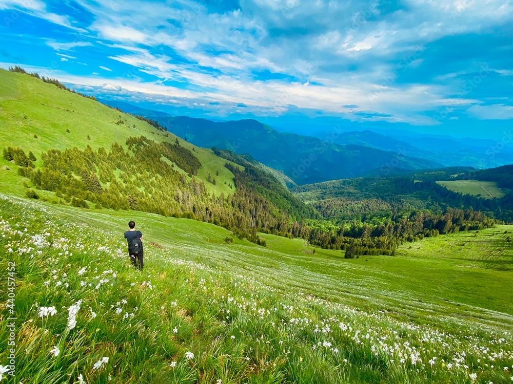 Tourist enjoying a beautiful view over the mountains, meadow full of daffodils, white flowers in a wild place