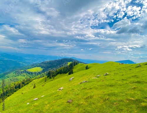 Beautiful pasture in the Carpathian Mountains in Europe, horses in the background enjoying the peaceful place