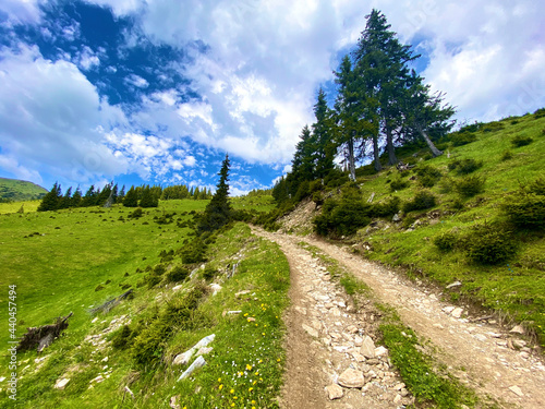 Beautiful road in the wilderness, traveling and exploring the alpine meadows in the Carpathian Mountains in Europe