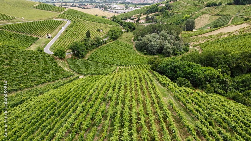 Europe, Italy , Oltrepo Pavia , Broni and Cigognola  aerial view from drone of countryside landscape with vineyards for wine production in Po Valley ( pianura padana ) - road pass between row of vines