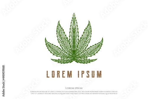 Retro Vintage Green Cannabis Marijuana Ganja Leaf for Hemp CBD Oil Logo Design Vector