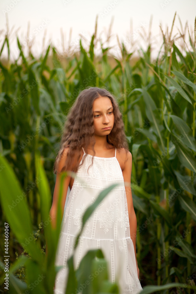Teen girl in corns field in a summer day Teen girl in corns field in a summer day