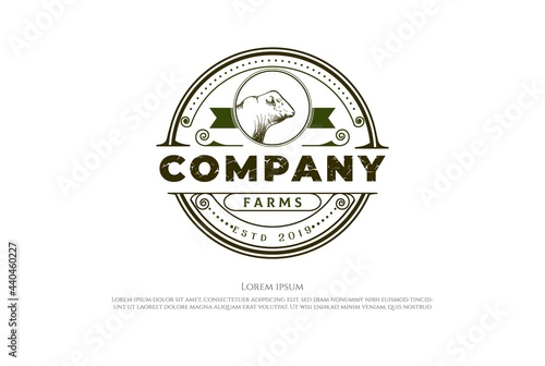 Circular Round Vintage Angus Cow Farm Livestock Cattle Logo Design Vector