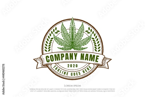Retro Vintage Cannabis Marijuana with Ribbon for Hemp CBD Oil Label Logo Design Vector