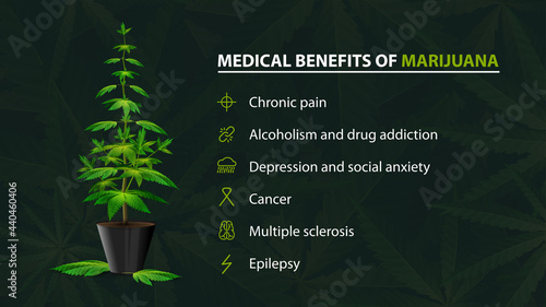 Benefits uses of medical marijuana, green poster for website with bush of cannabis in a pot and infographic of benefits