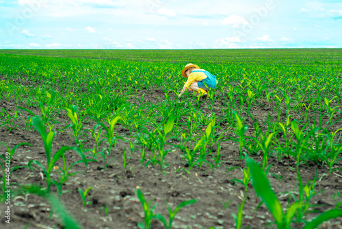 irrigation of corn, field, agriculture, man, farmer, agronomist, woman, worker, green, plant, farm, sky, landscape, nature, corn, crop, rural, summer, grass, wheat, farming