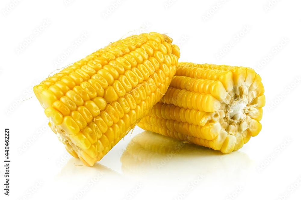 fresh raw corn cob isolated on white background fresh raw corn cob isolated on white background